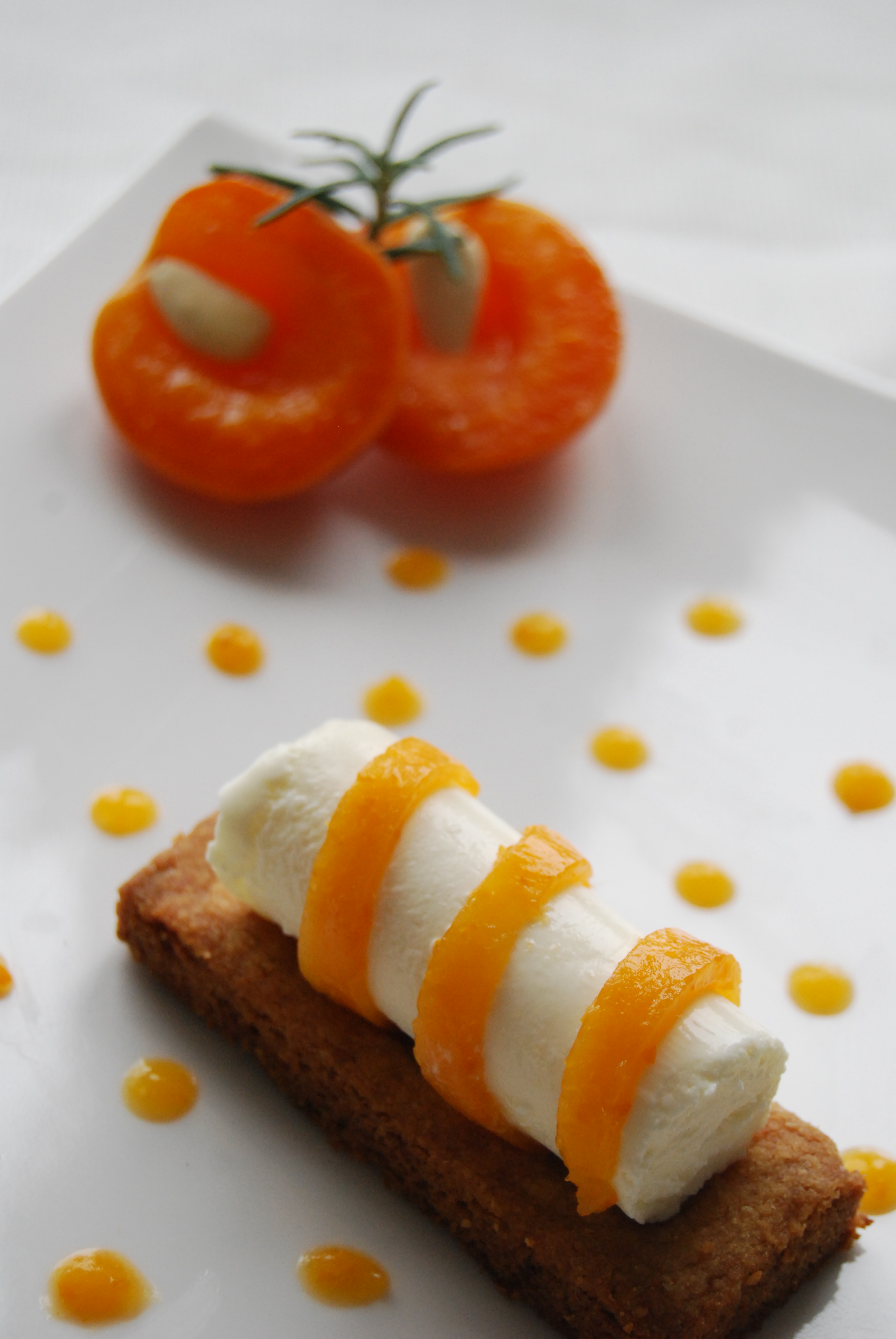 Cheesecake abricot romarin